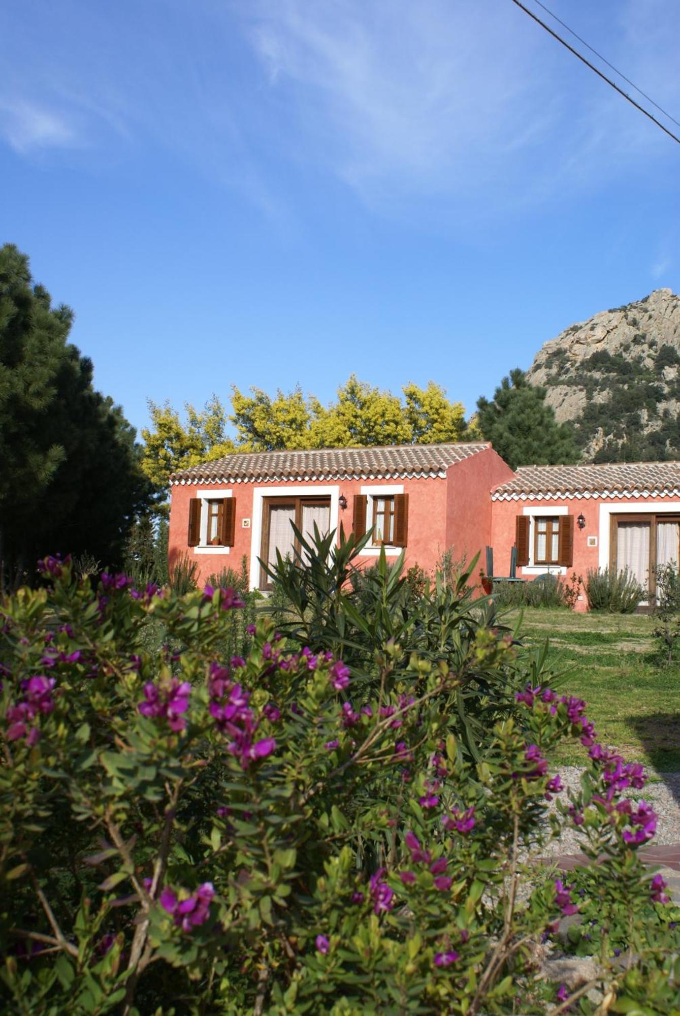 L'aglientu *
