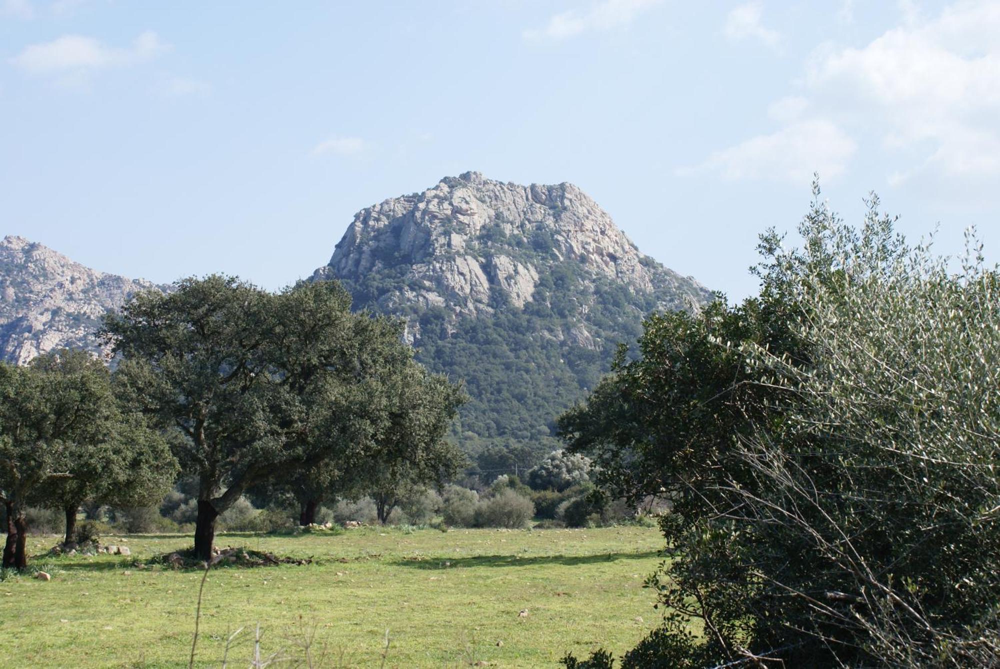 L'aglientu Alojamento de Turismo Rural