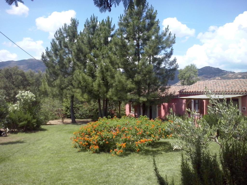 L'aglientu *